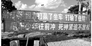 海南“劝架标语”走红：打赢坐牢 打输住院