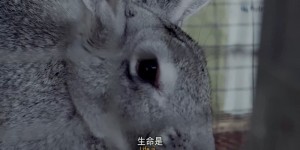 [舒适农场/Comfort Farms][BD-MKV/2.08GB][1080P][英语中字][美国最新剧情电影]