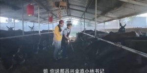 [初心照黄河/驴为媒][HD-MP4/1G][国语中字][720P][回乡养驴创业致富]