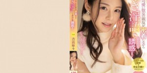 498DDH-043