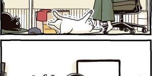 漫画家与猫咪生活的治愈漫画 喵星人讨摸摸超可爱