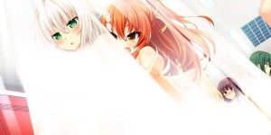 PS4版《野良与皇女与流浪猫之心》 美少女游戏惨遭自主规制