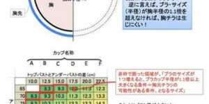 日本欧派函数对抗大赛 用数学分析女人性感美胸