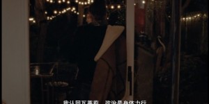 [双面生活/纯属虚构][HD-MP4/2G][法语中字][1080P][豆瓣7.1丽叶·比诺什喜剧新片]