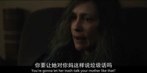 [皮肤/皮囊][HD-MP4/2G][英语中字][720P][豆瓣7.6种下的因得到的果]