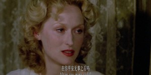 [苏菲的抉择][BD-MKV/1.65GB][国英双语.中英字幕][1080P][豆瓣8.3高分，精湛的演技让人忘却了影片的长度]