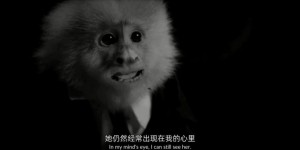 [杰克做了什么][HD-MP4/1G][英语中字][1080P][大卫林奇审讯嫌疑猴子]