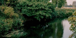 《Parklife》是伦敦摄影师 Sophia Spring 献给伦敦公园的一封情书，纪录了在这城市绿地中的空间与人。（18P）