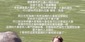 紀卜心泰國騎大象遭疑欺負動物！無奈澄清「非商業賺錢」：親自來一趟感受好嗎