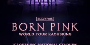 阿達朝聖BLACKPINK演唱會！到高雄才發現「票忘在台北」　心死求助：怎麼解？