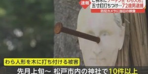 日本多处神社出现《普京头像诅咒稻草人偶》72岁老翁遭警方逮捕！