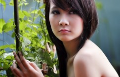 何宇韩小雅免费小说在线阅读《桃运匠神》 好看的言情小说