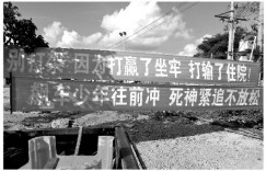 海南“劝架标语”走红：打赢坐牢 打输住院