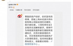 角色扮演游戏《原神》 被疑抄袭《萨尔达：旷野之息》引发争议