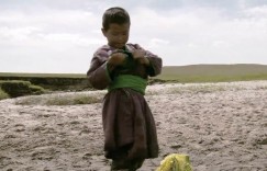 [绿草地 宁浩导演作品][1080p][WEB-mp4/1.74G][国语]