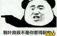 我叶良辰 叶良辰是什么梗 叶良辰梗出处介绍 回合端游