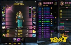 wcl 魔兽世界怀旧服奶骑WCL刷分攻略 网络端游