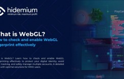 Mac用户必看：网页端开启WebGL加速观赛体验全攻略