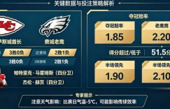 2026超级碗（NFL）决赛前瞻与投注指南