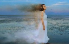 【迈博体育myball】娇软小温柔全文百度云 公主的人肉脚垫