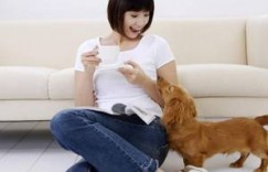 【迈博体育myball】叶修高速车 紫黑浓稠粗大青筋白浊