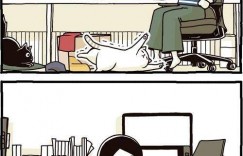 漫画家与猫咪生活的治愈漫画 喵星人讨摸摸超可爱