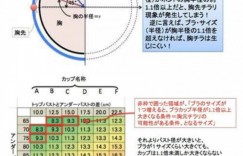 日本欧派函数对抗大赛 用数学分析女人性感美胸