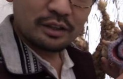 恐怖游戏《MOMO挑战》引争议 金卡戴珊呼吁停止传播游戏