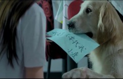 [犬爱奇缘][HD-MP4/1.4G][国语中字][720P][与狗狗斗智斗勇的趣味故事]
