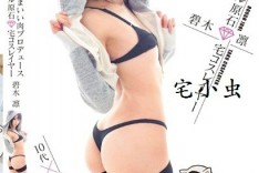 萌新Gif出处 碧木凛作品MDS-807的唯美二次元
