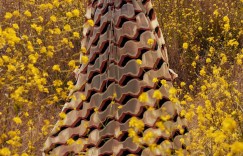 Ulla Johnson Resort 2024 ，早春型录画册，加州拍摄??? ​​​