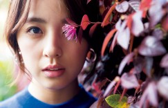 【精选】柳百合菜