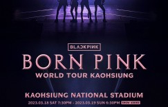 阿達朝聖BLACKPINK演唱會！到高雄才發現「票忘在台北」　心死求助：怎麼解？