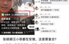 張穎穎再開戰張蘭！喊不想過年「帶負面情緒回家」　被抓包私下和汪小菲黏踢踢