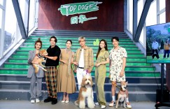 羅志祥媽媽一句智慧的話！讓他改變原先對浪浪的計劃　決定為牠找個新家