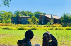 周杰倫7歲愛女遭爆「申請澳洲私立名校」！學費曝光引陸網吐槽：確實太便宜