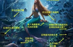 網調侃《小美人魚》綁髒辮出水片段像哥吉拉！女主角曝：甩髮動作脖子差點斷掉