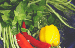 身体喜欢的吃饭顺序，关乎你的体重和血糖