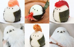 ㄏㄚˋ辣！ 可口的飞机头《不良少年饭团》原型是小鸟”雪之精灵”！