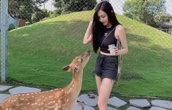 【喵喵女】小鹿乱撞!正妹雾眉师「罗依璇Demi」斑比山丘辣秀美腿,好想被她喂食!