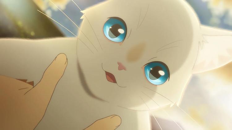 日本最新动画电影《无限》 奇幻青春爱情充满神秘感