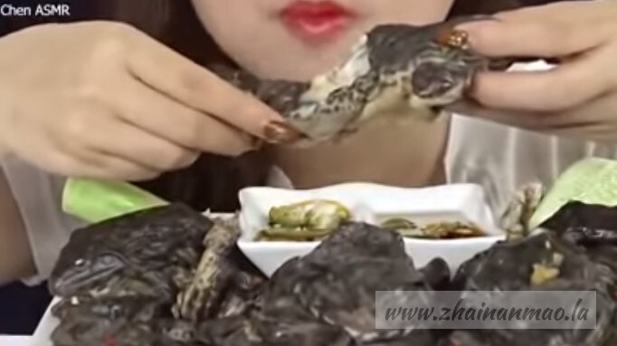 油管一越南女子生食青蛙被传疯！ 酱油蟹已经out啦～